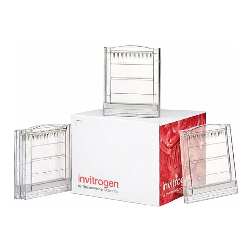 Thermo Fisher Scientific Novex Tris-Glycine Mini Protein Gels, 10%, 1.0 mm, 2D-well