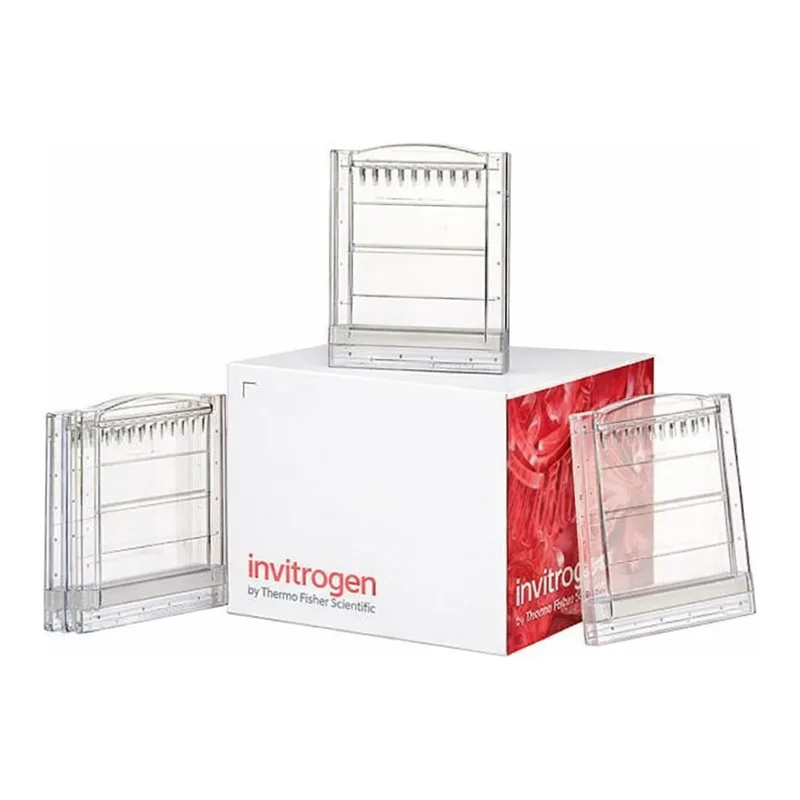 Thermo Fisher Scientific Novex Tris-Glycine Mini Protein Gels, 10%, 1.0 mm, 2D-well