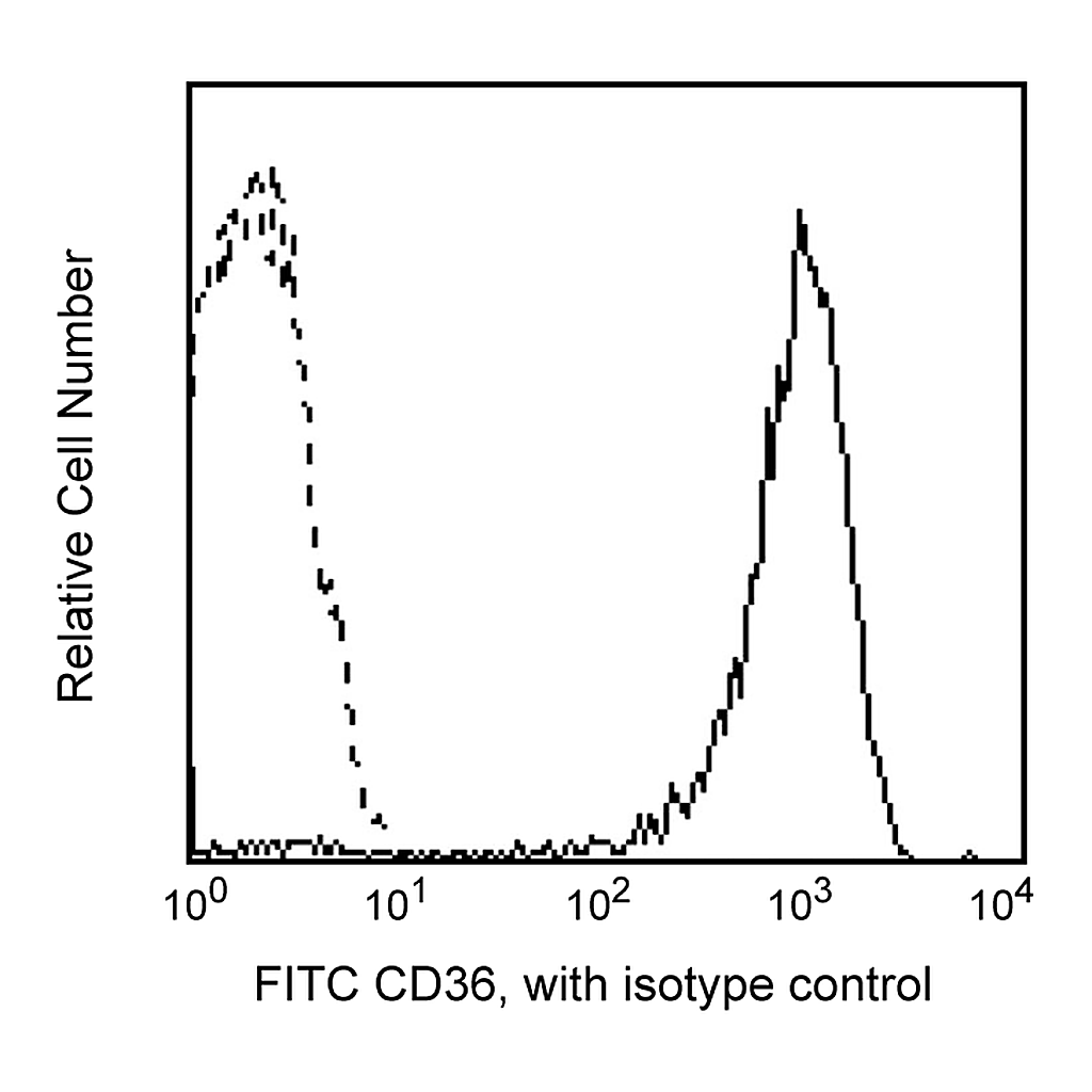 BD FITC Mouse Anti-Human CD36