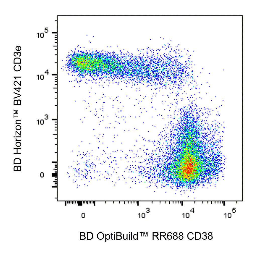 BD RR688 Rat Anti-Mouse CD38
