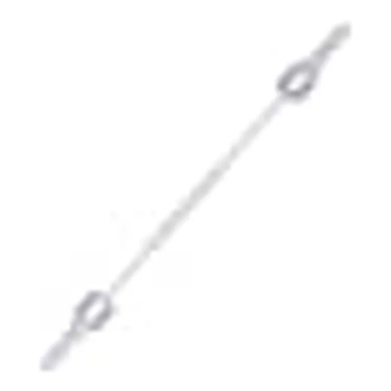 Waters Assy, Tube Inlet .004 ID LT PEEK Nut