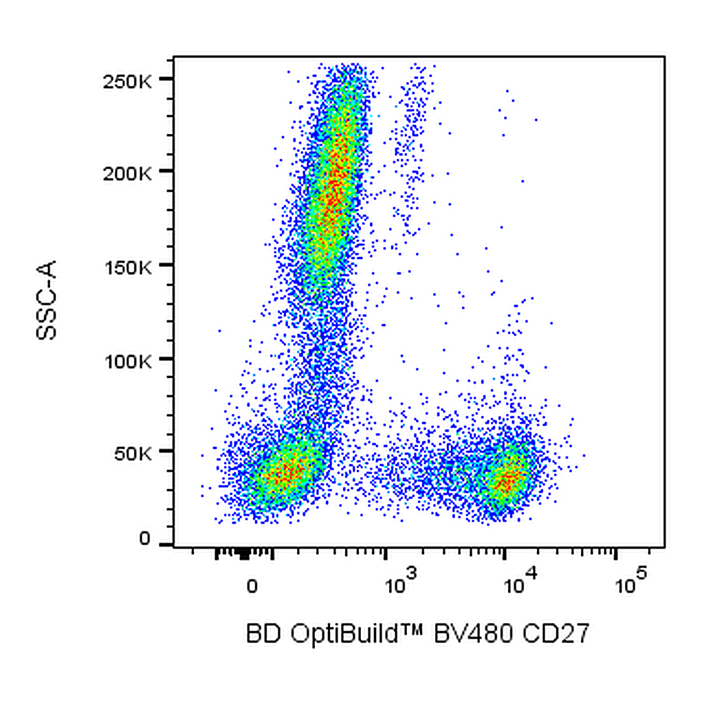 BD BV480 Mouse Anti-Human CD27