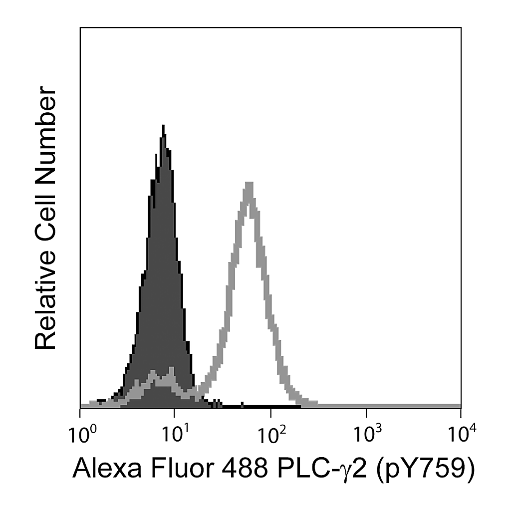 BD Alexa Fluor® 488 Mouse anti-PLC-γ2 (pY759)