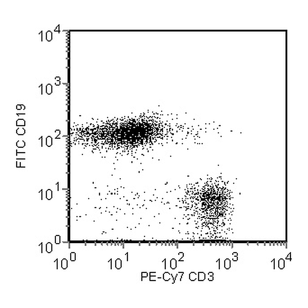 BD PE-Cy7 Rat Anti-Mouse CD3 Molecular Complex