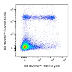 BD RB613 Rat Anti-Mouse Ly-6C
