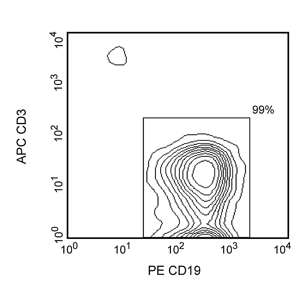 BD Anti-Human CD19 Magnetic Particles - DM