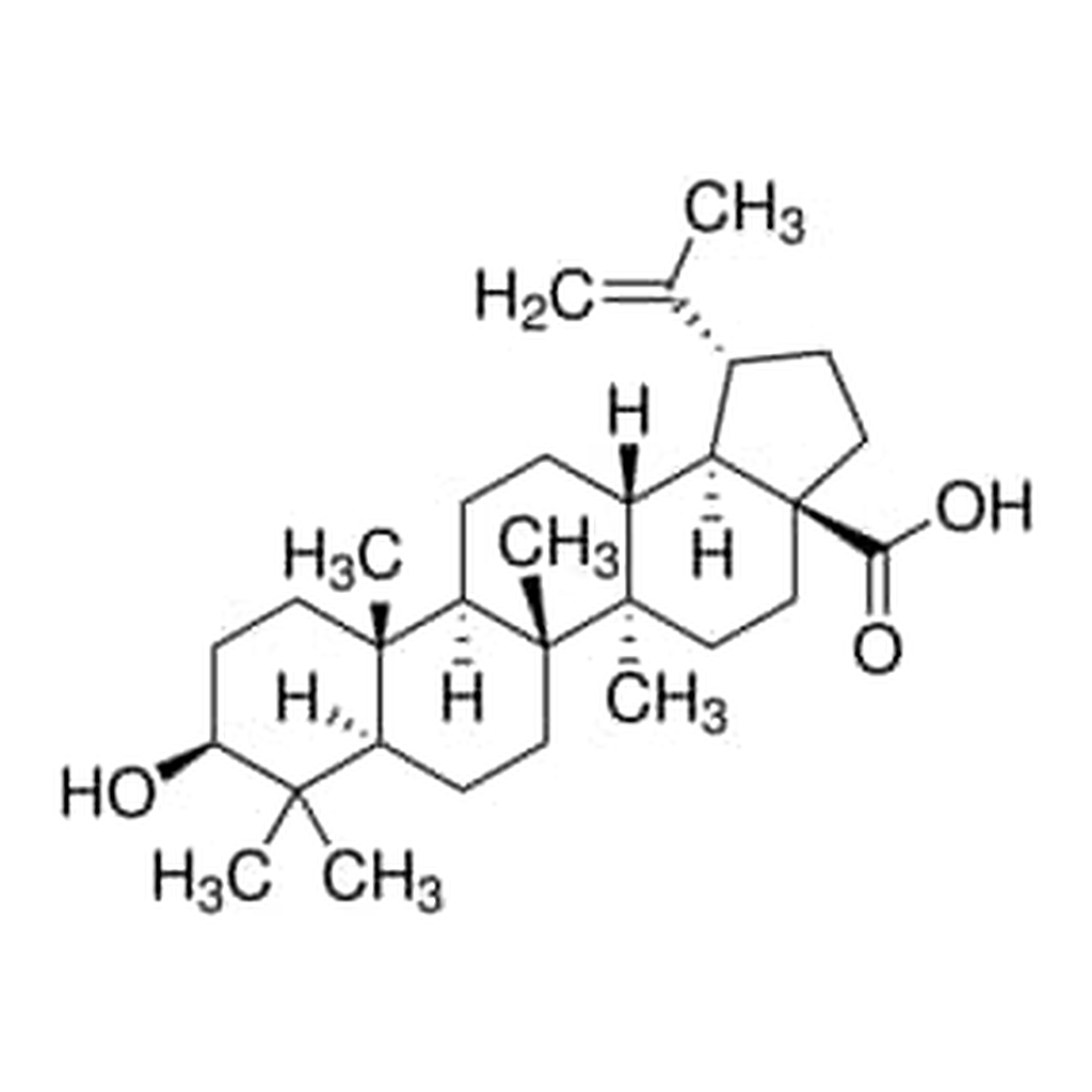 Merck BETULINIC ACID