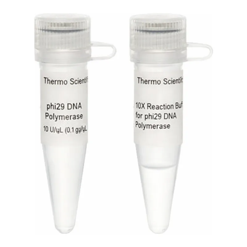 Thermo Fisher Scientific phi29 DNA Polymerase (10 U/μL), 250 units