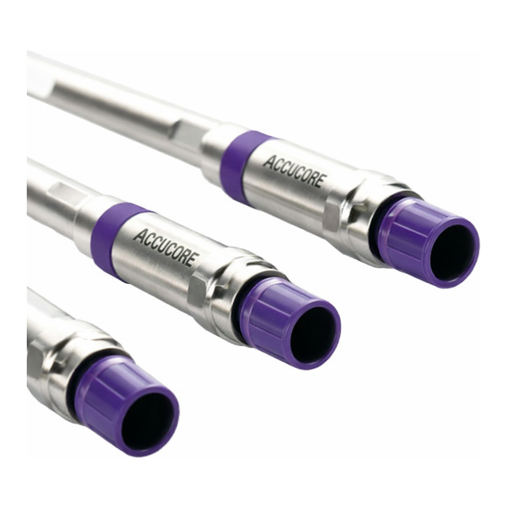 Thermo Fisher Scientific Accucore Phenyl-X LC Column