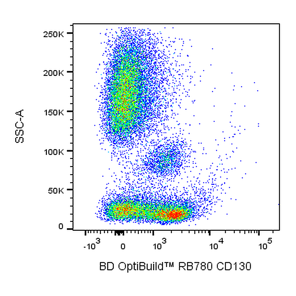 BD RB780 Mouse Anti-Human CD130 (gp130)