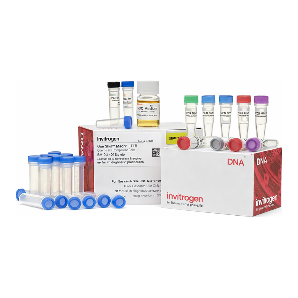 Thermo Fisher Scientific TOPO TA Cloning Kit for Sequencing, with One Shot Mach1 T1 Phage-Resistant Chemically Competent E. coli