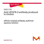 Merck Anti-VEGFR-2 antibody produced in chicken