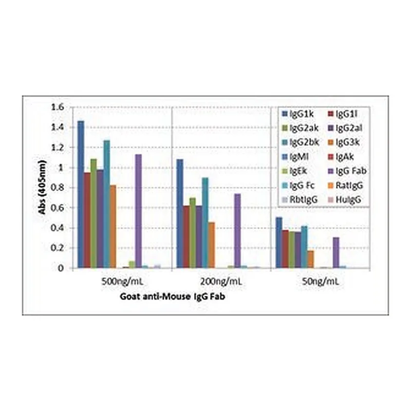 Merck ANTI-MOUSE IGG FAB ANTIBODY, GOAT MONOCL