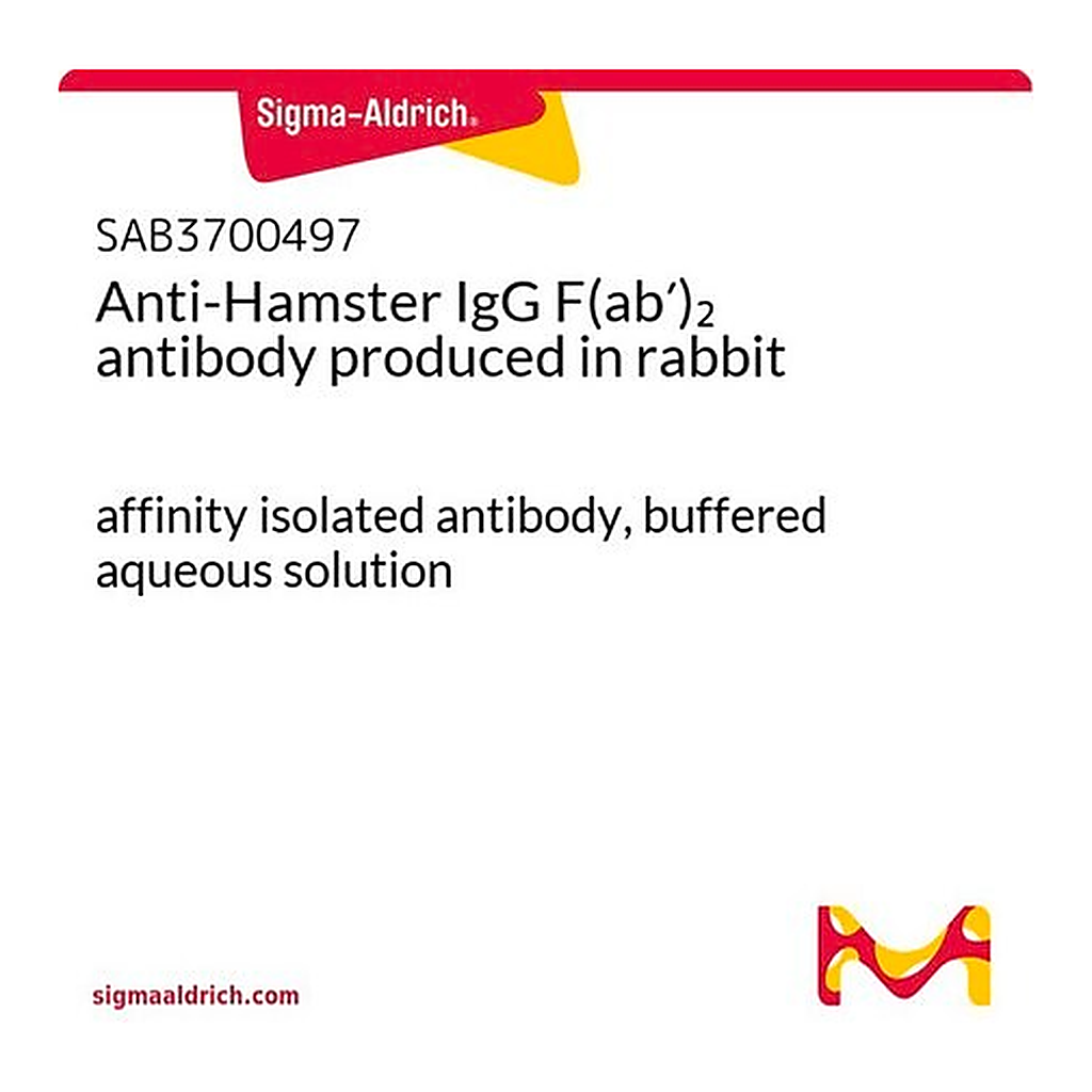 Merck Anti-Hamster IgG F(ab')2 antibody produced in rabbit