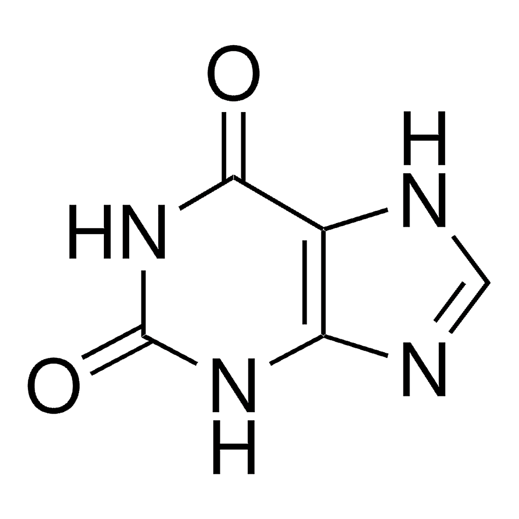 Merck Xanthine