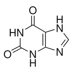 Merck Xanthine