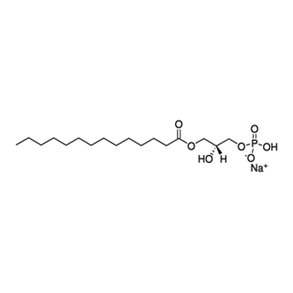 Merck 14:0 LYSO PA