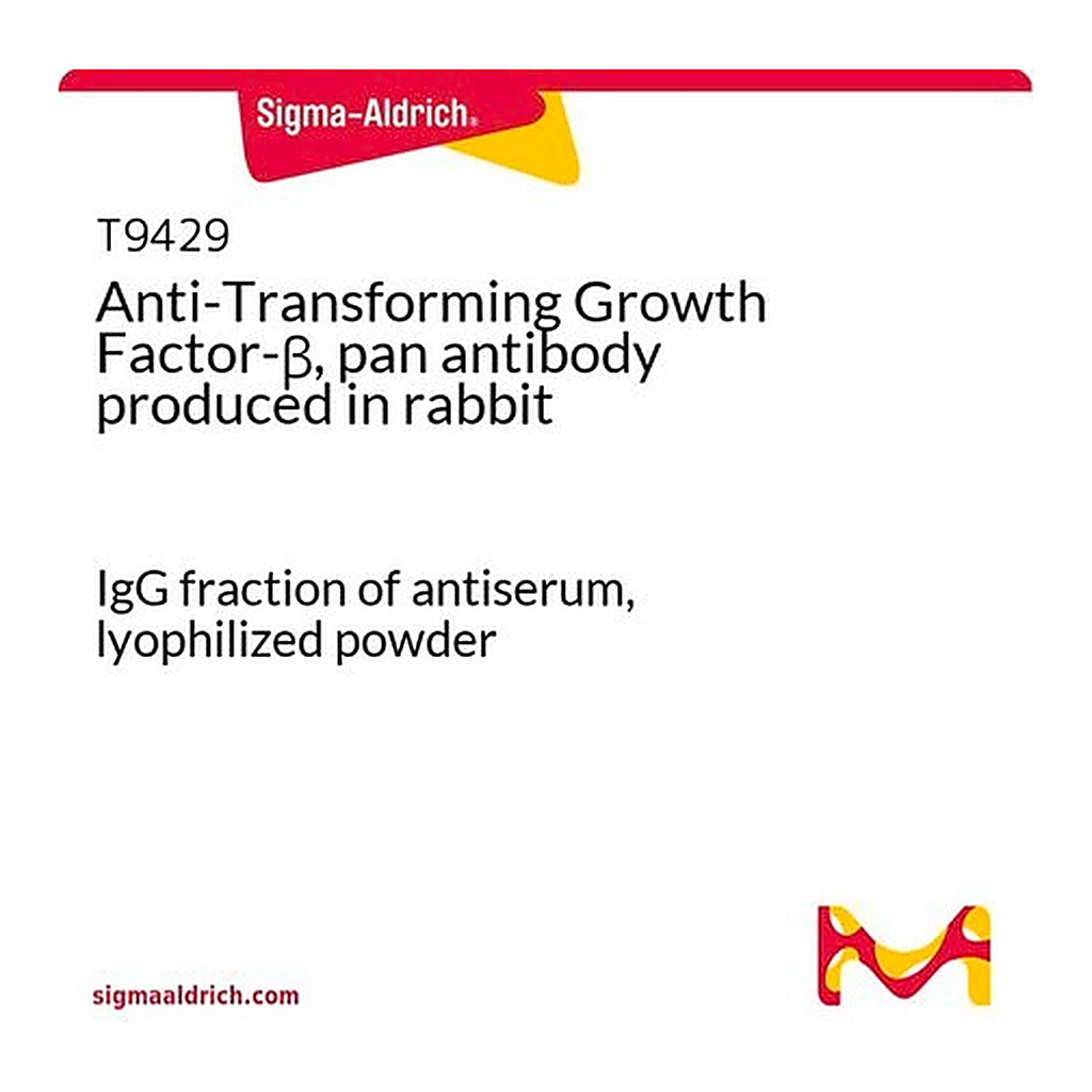 Merck Anti-Transforming Growth Factor-beta, pan antibody produced in rabbit