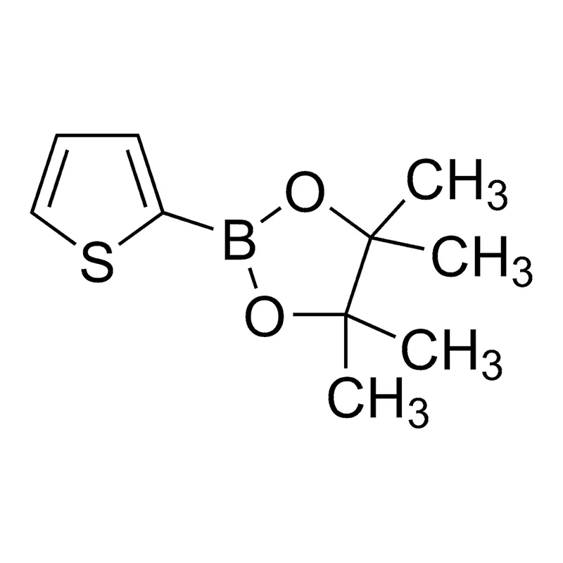 Merck 2-(4,4,5,5-tetramethyl-1,3,2-dioxaborolan-2-yl)thiophene