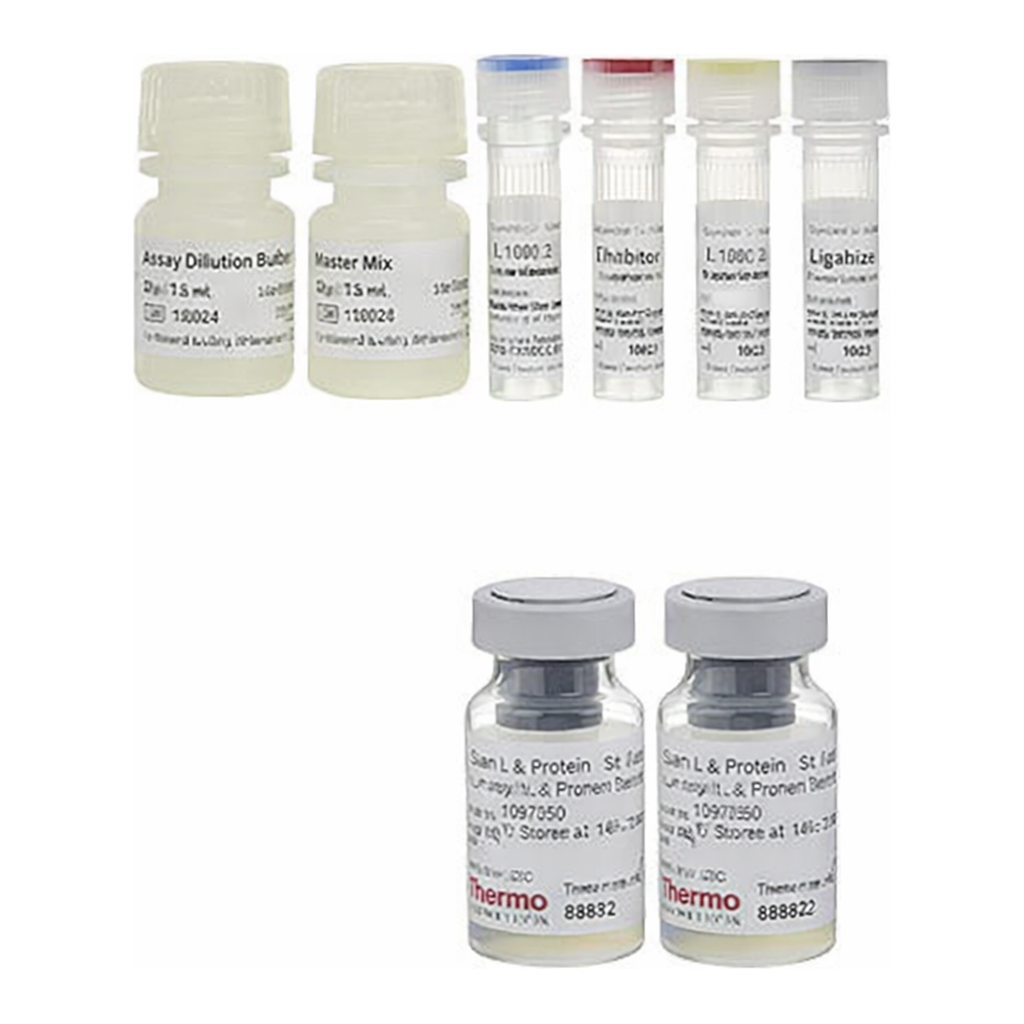 Thermo Fisher Scientific Mouse IL-17A ProQuantum Immunoassay Kit