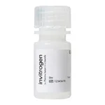 Thermo Fisher Scientific FluoSpheres Polystyrene Microspheres, 1.0 μm, orange fluorescent (540/560), for tracer studies