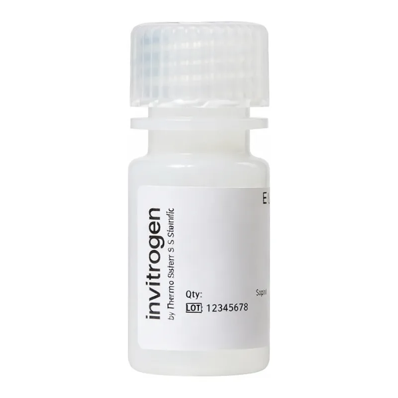 Thermo Fisher Scientific FluoSpheres Polystyrene Microspheres, 1.0 μm, orange fluorescent (540/560), for tracer studies