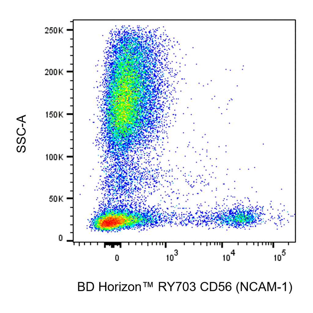 BD RY703 Mouse Anti-Human CD56 (NCAM-1)