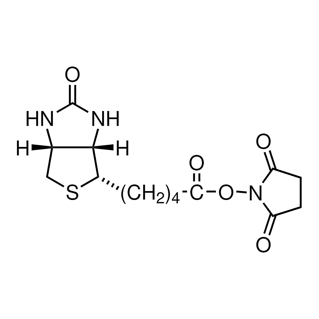 Merck (+)-Biotin N-hydroxysuccinimide ester