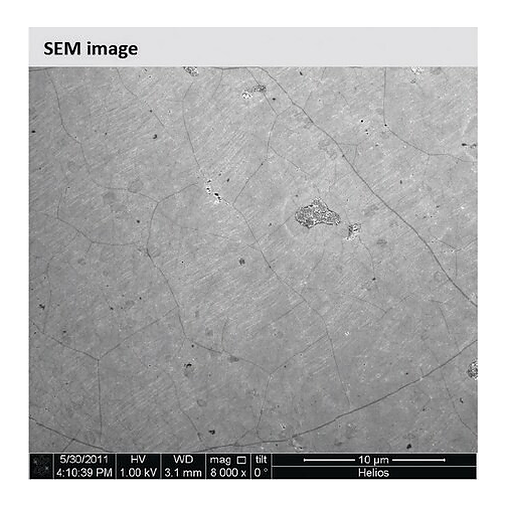 Merck Monolayer graphene film