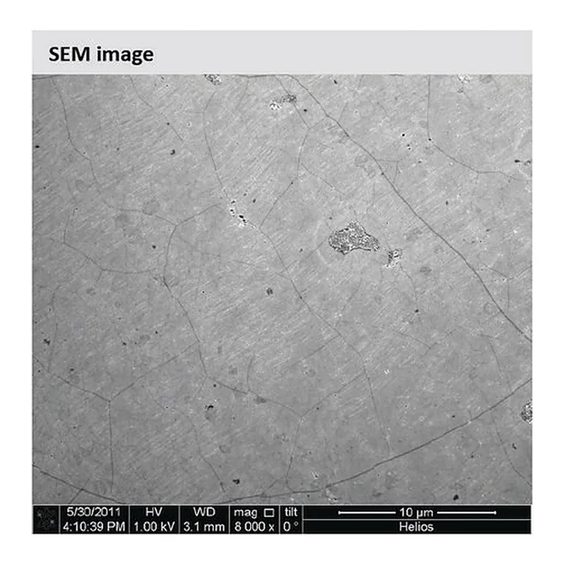 Merck Monolayer graphene film