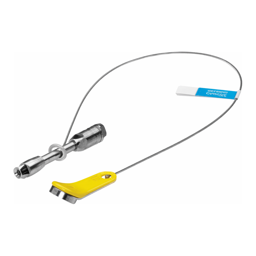Waters Atlantis Premier BEH Z-HILIC VanGuard FIT Column, 1.7 µm, 2.1 mm X 50 mm, 1/pk