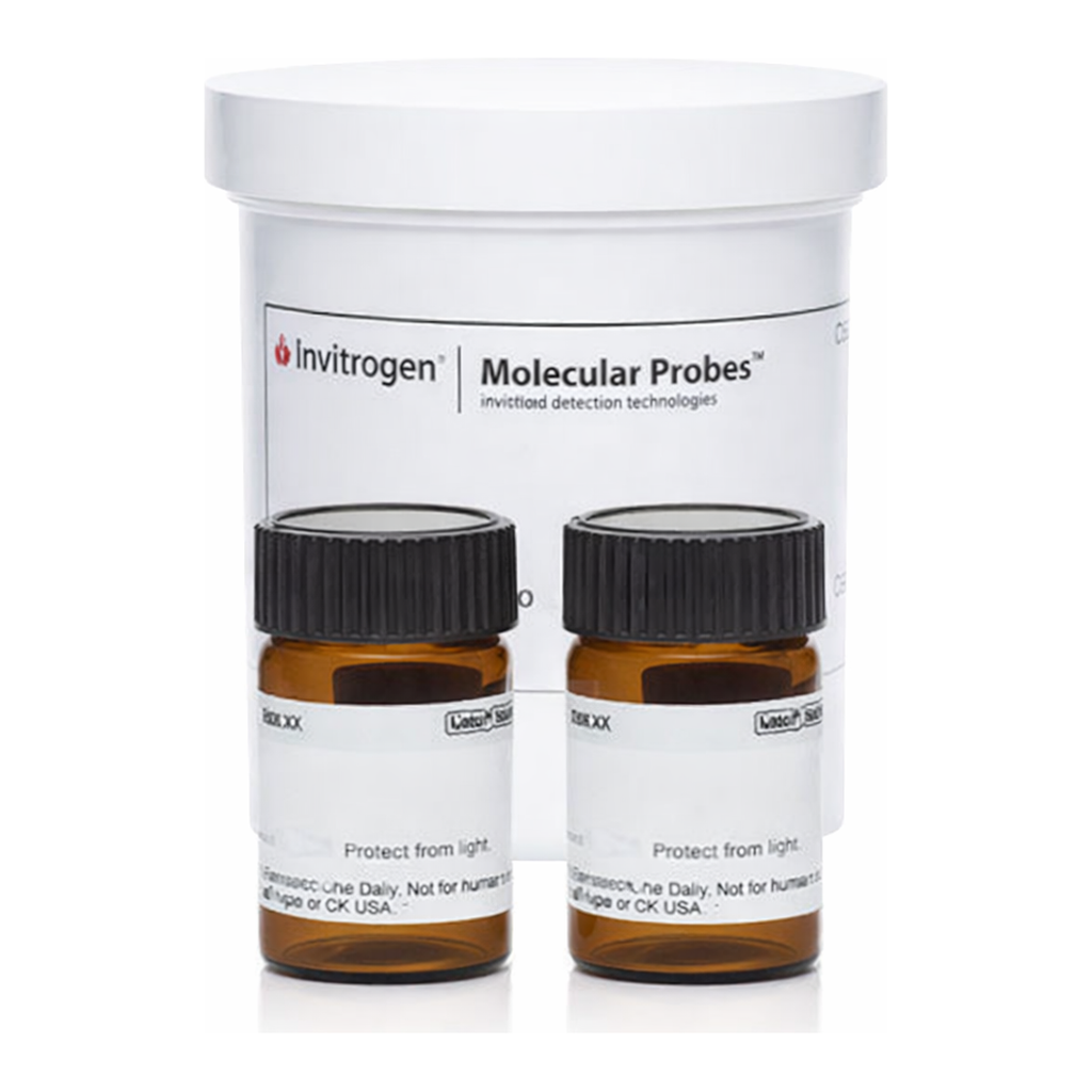 Thermo Fisher Scientific NBT/BCIP Reagent Kit