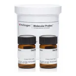 Thermo Fisher Scientific NBT/BCIP Reagent Kit