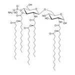 Merck 3D-(6-ACYL) PHAD (R)