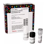 Thermo Fisher Scientific Pierce Fluorescence Biotin Quantitation Kit