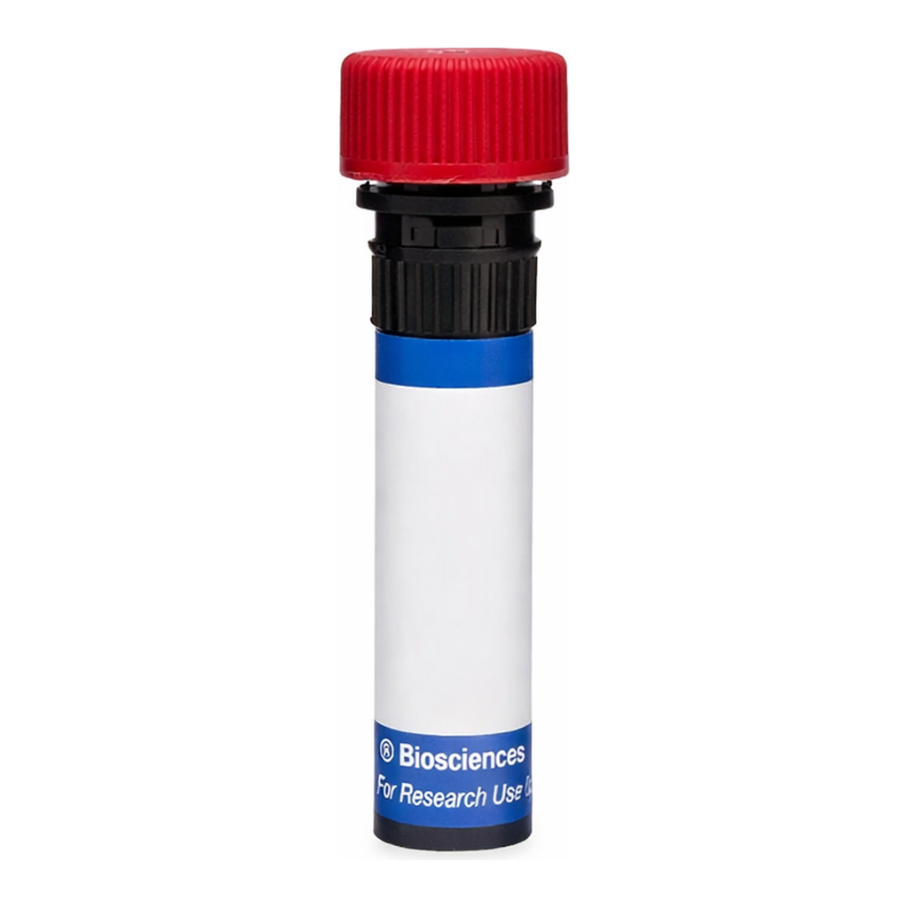 BD RB670 Mouse Anti-Rat β2-Microglobulin