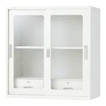 AS ONE Chemical-Resistant Double Sliding Storehouse Glass Door (With Drawer)