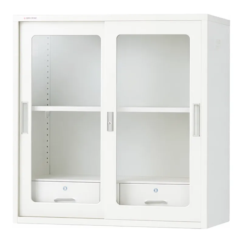 AS ONE Chemical-Resistant Double Sliding Storehouse Glass Door (With Drawer)