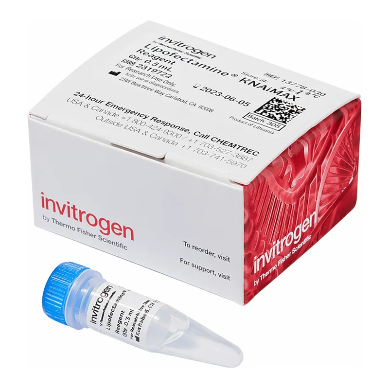 Thermo Fisher Scientific Lipofectamine RNAiMAX Transfection Reagent, 0.3 mL