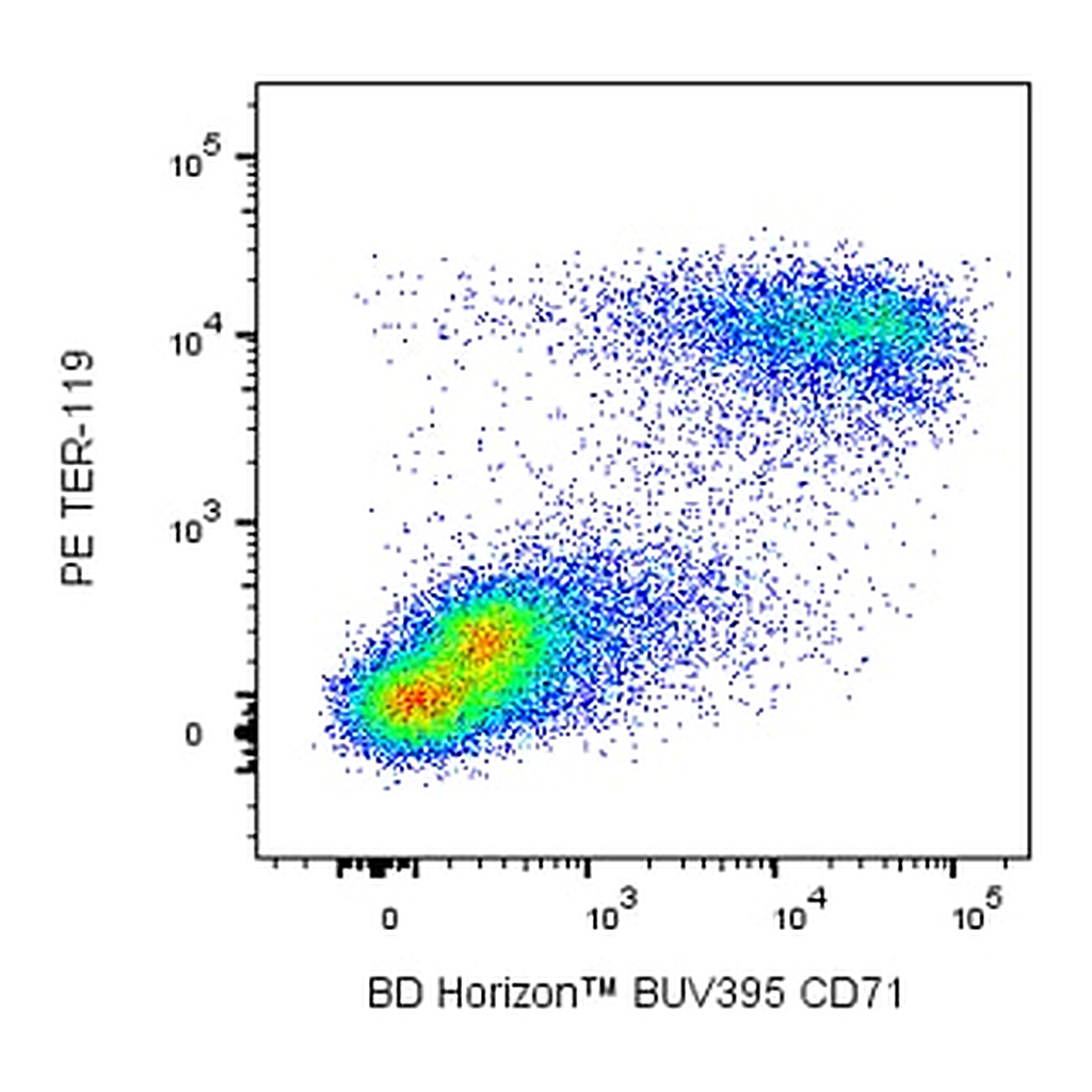 BD BUV395 Rat Anti-Mouse CD71