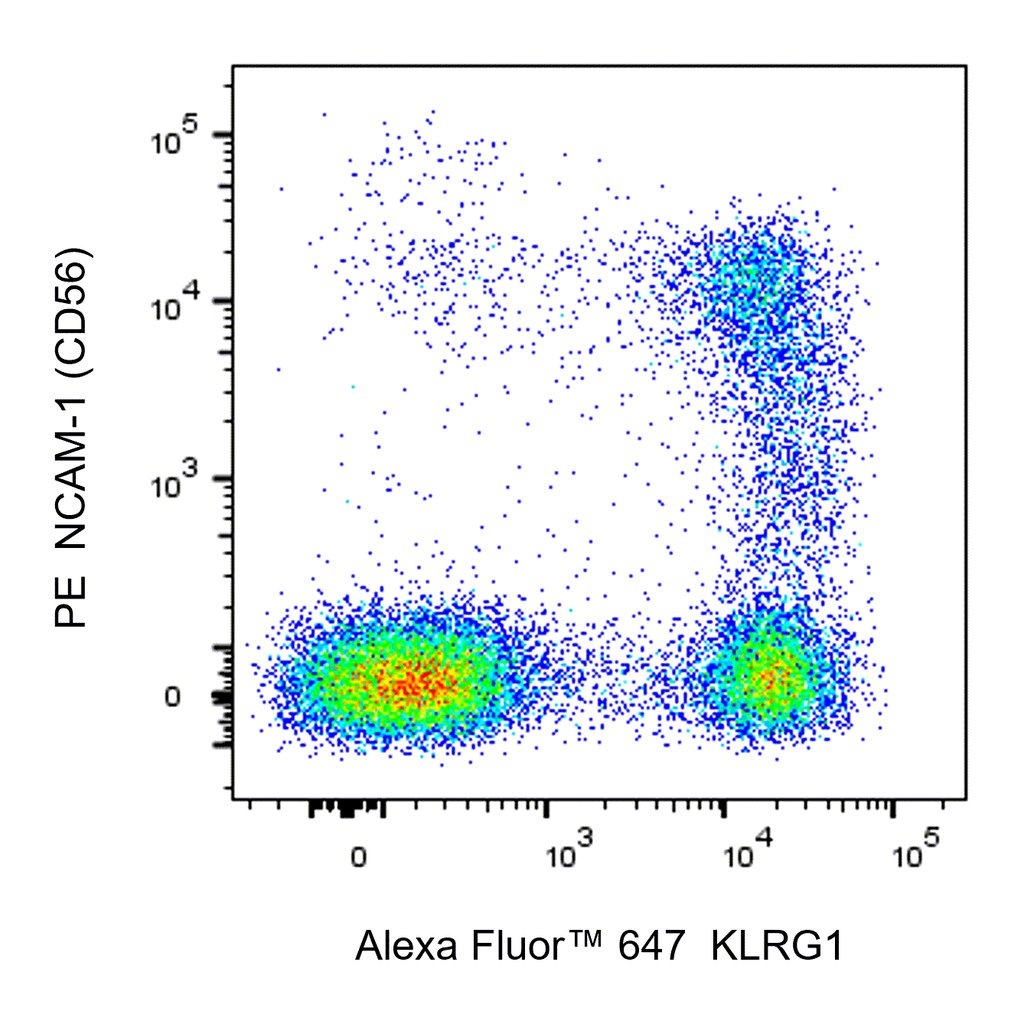 BD Alexa Fluor 647 Mouse Anti-Human KLRG1