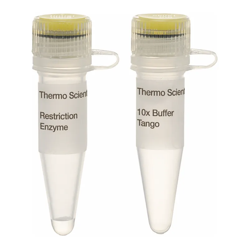 Thermo Fisher Scientific PscI (PciI) (10 U/μL), 200 units