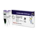 Thermo Fisher Scientific FastDigest TaaI