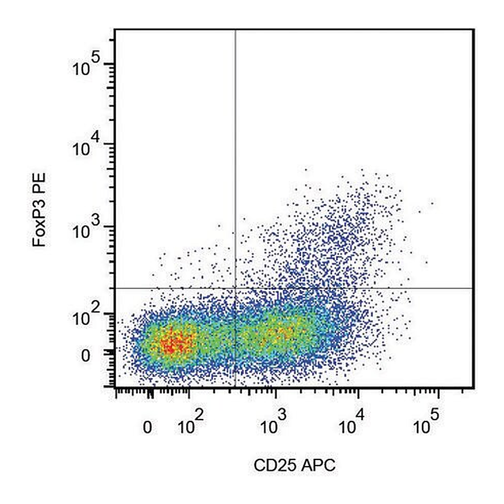 Merck Monoclonal Anti-FOXP3-PE antibody produced in mouse