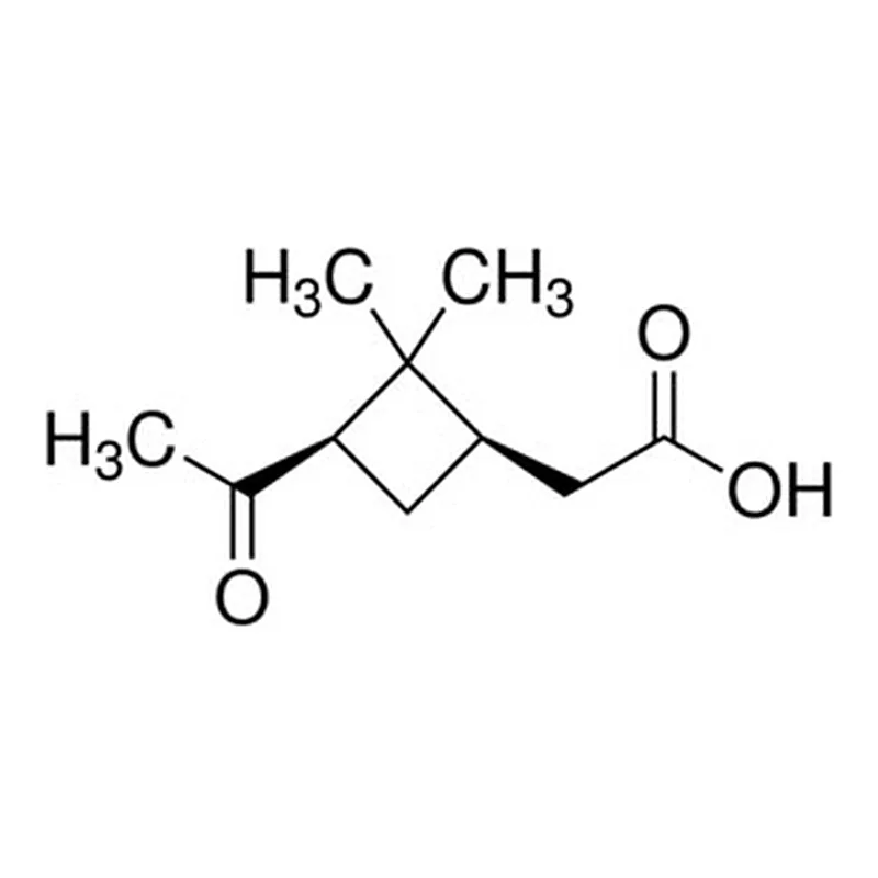 Merck CIS-PINONIC ACID, 98%