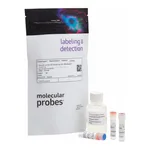 Thermo Fisher Scientific Qubit dsDNA BR Assay Kit, 100 assays