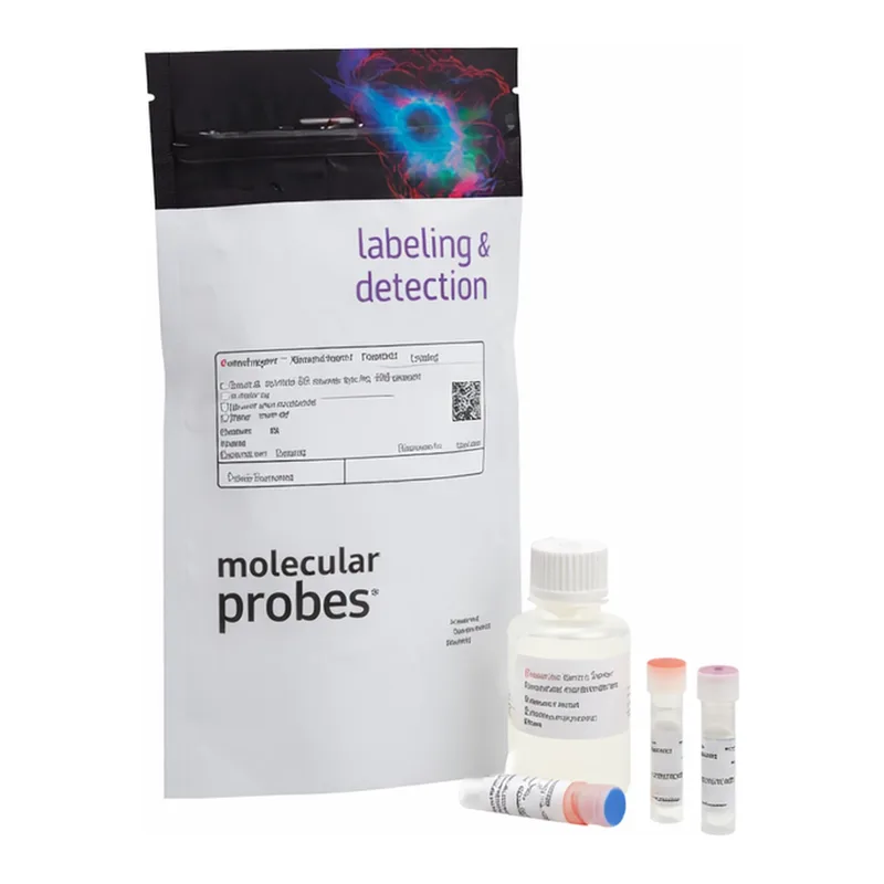 Thermo Fisher Scientific Qubit dsDNA BR Assay Kit, 100 assays