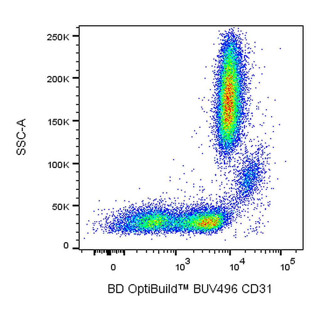 BD BUV496 Mouse Anti-Human CD31
