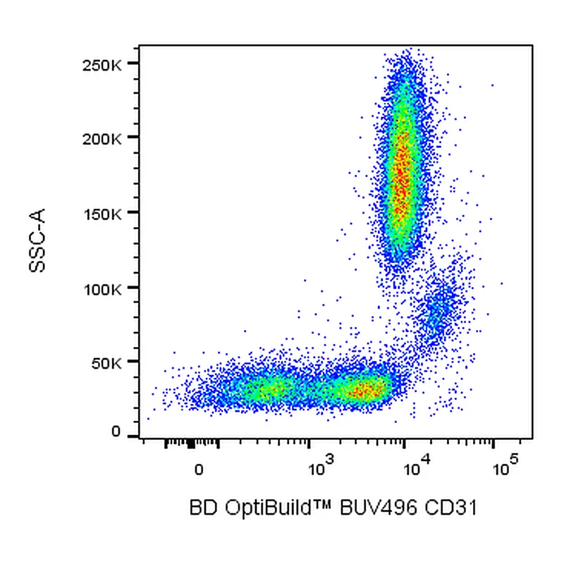 BD BUV496 Mouse Anti-Human CD31