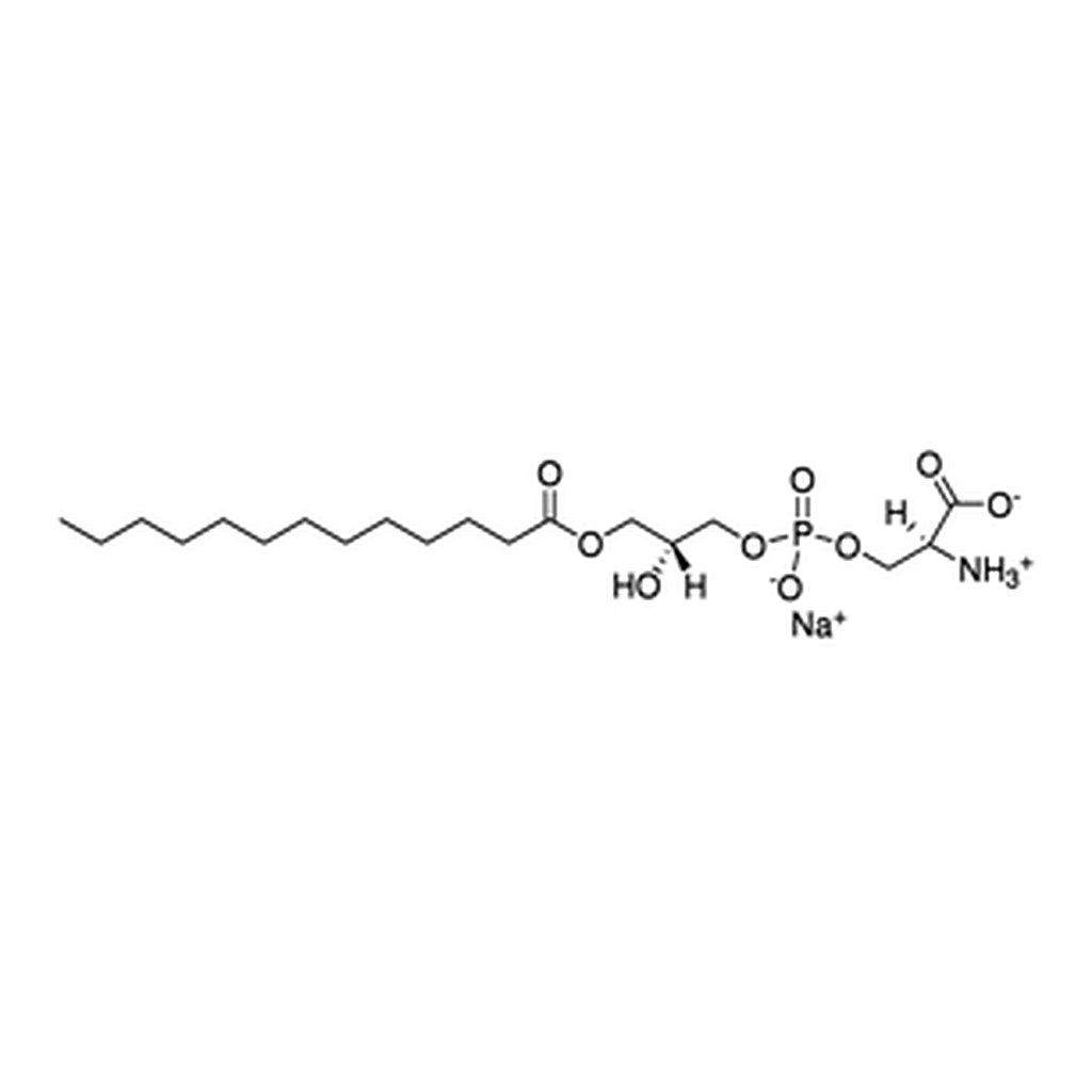 Merck 13:0 LYSO PS